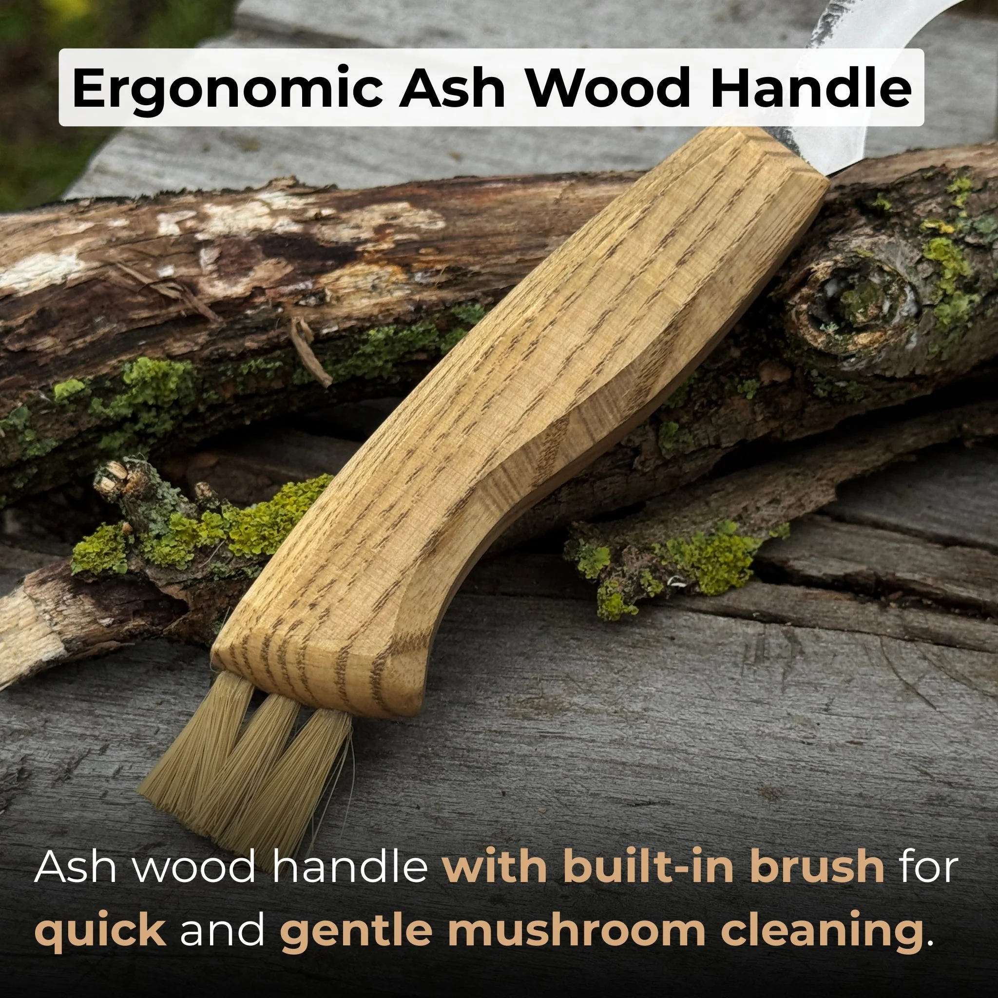 Forged Mushroom Knife with Brush, 6.5 cm (2.56 inches) - Image 3